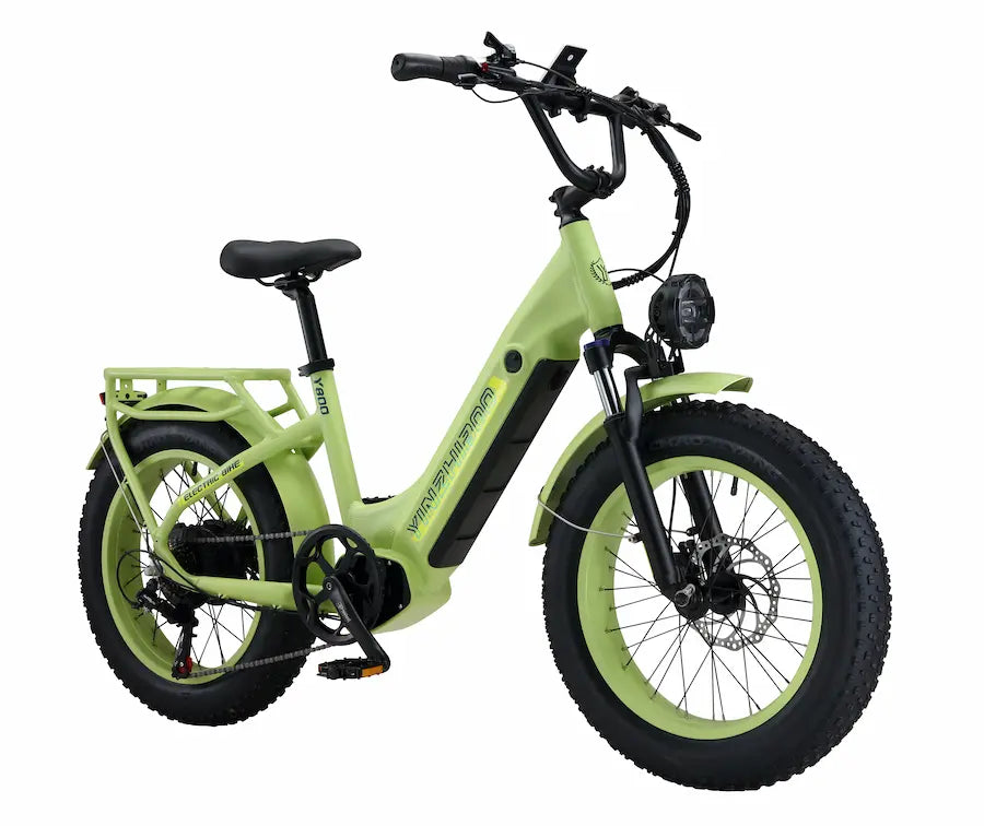 Y800 750W Motor Fat Tire Electric Bike,32MPH, 40 Mile Range