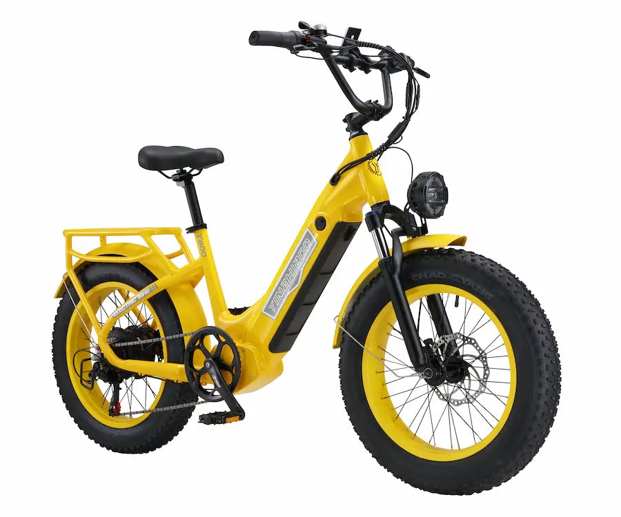 Y800 750W Motor Fat Tire Electric Bike,32MPH, 40 Mile Range