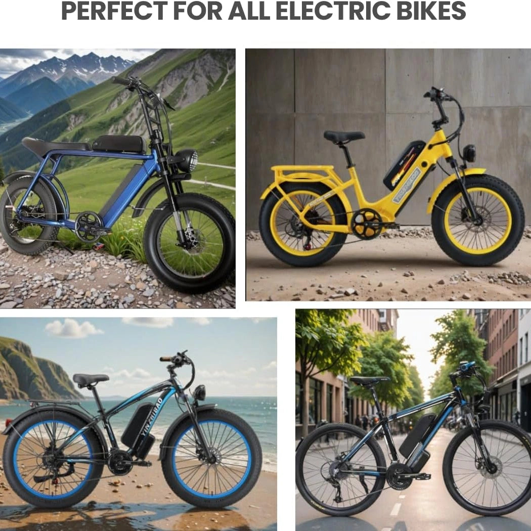 E Bike Charger Battery