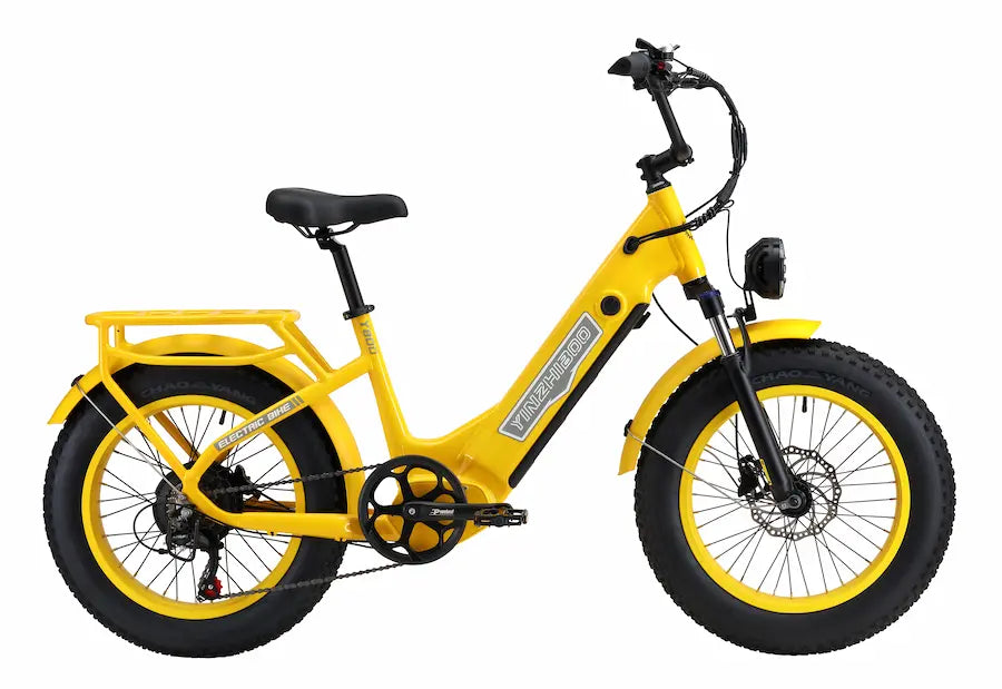 Y800  750W Motor  Fat Tire Electric Bike，32MPH, 40 Mile Range
