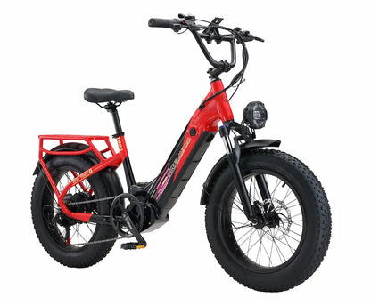 Y800  750W Motor  Fat Tire Electric Bike，32MPH, 40 Mile Range